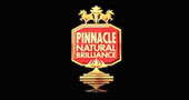 Pinnacle